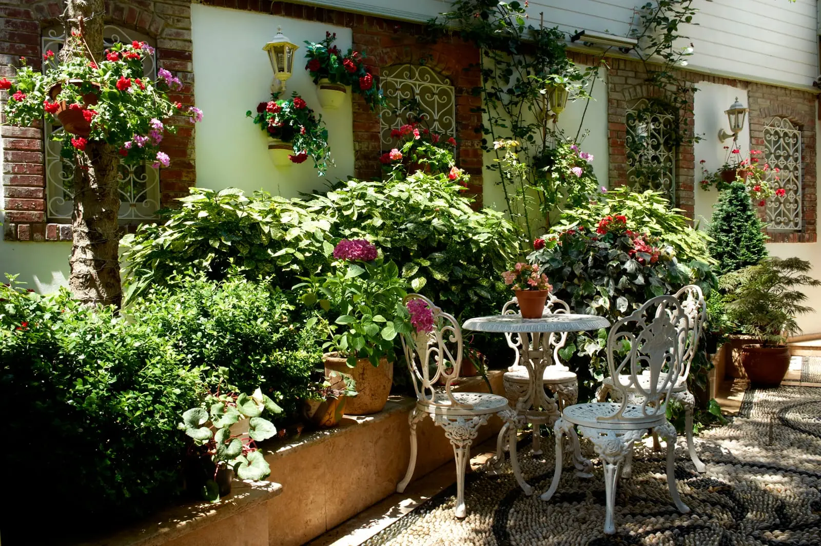 Garden area